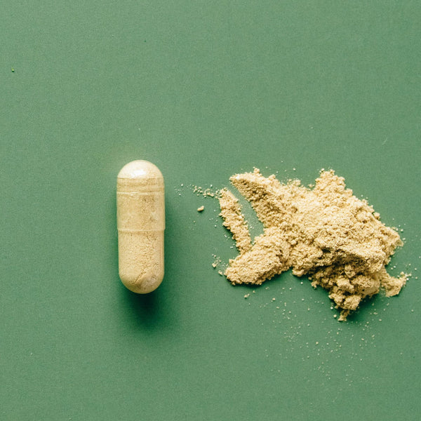 The Fascinating History of Sceletium: From Ancient Use to Modern Science