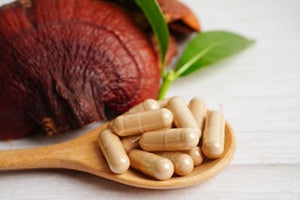 Exploring the Health Benefits of Reishi Mushroom