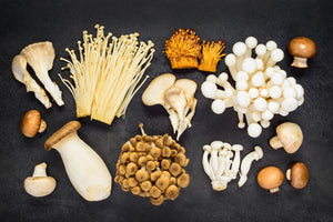 The Power of Functional Mushrooms and Their Health Benefits